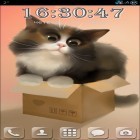 Además de los fondos de pantalla animados para Android Gatos divertidos , descarga la apk gratis de los salvapantallas Gato en la caja.