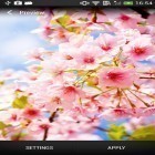 Además de los fondos de pantalla animados para Android Paralaje de azulejos 3D, descarga la apk gratis de los salvapantallas Guindos en flor .