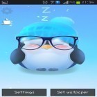 Además de los fondos de pantalla animados para Android Lindo fondo: Infinidad, descarga la apk gratis de los salvapantallas Pingüino rechoncho.