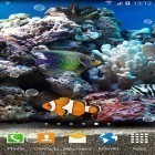 Además de los fondos de pantalla animados para Android Fotos en el acuario, descarga la apk gratis de los salvapantallas Peces de corales 3D.