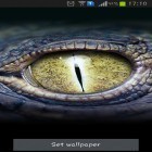 Además de los fondos de pantalla animados para Android Gato en la caja, descarga la apk gratis de los salvapantallas Ojos de cocodrilo.