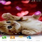 Además de los fondos de pantalla animados para Android Gato oculto , descarga la apk gratis de los salvapantallas Animales lindos .