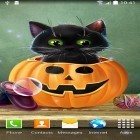 Además de los fondos de pantalla animados para Android , descarga la apk gratis de los salvapantallas Halloween lindo .