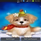 Además de los fondos de pantalla animados para Android Gato caballero, descarga la apk gratis de los salvapantallas Cachorro lindo.