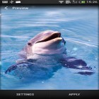 Además de los fondos de pantalla animados para Android Nevada invernal  , descarga la apk gratis de los salvapantallas Delfín .
