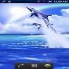 Además de los fondos de pantalla animados para Android Formas extrañas, descarga la apk gratis de los salvapantallas Delfín azul.