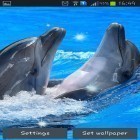Además de los fondos de pantalla animados para Android Coches estupendos , descarga la apk gratis de los salvapantallas Delfines.