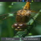 Además de los fondos de pantalla animados para Android Flores del bosque , descarga la apk gratis de los salvapantallas Libélula.