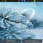 Además de los fondos de pantalla animados para Android Osito polar, descarga la apk gratis de los salvapantallas Dibuja en la pantalla congelada.
