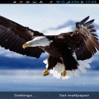 Además de los fondos de pantalla animados para Android Gata egipcia , descarga la apk gratis de los salvapantallas Águila.