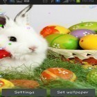 Además de los fondos de pantalla animados para Android Navidad HD, descarga la apk gratis de los salvapantallas Conejos de Pascuas 2015.