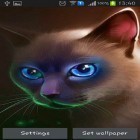 Además de los fondos de pantalla animados para Android Gato perezoso, descarga la apk gratis de los salvapantallas Gata egipcia .