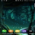 Además de los fondos de pantalla animados para Android Toque Xperia Z. Vuelo , descarga la apk gratis de los salvapantallas Selvas fantásticas .