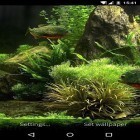 Además de los fondos de pantalla animados para Android Elefantes voladores , descarga la apk gratis de los salvapantallas Acuario 3D con peces.