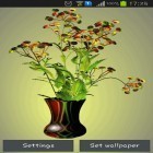 Además de los fondos de pantalla animados para Android , descarga la apk gratis de los salvapantallas Flores .