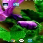 Además de los fondos de pantalla animados para Android Gato en la caja, descarga la apk gratis de los salvapantallas Vida de las flores .