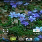 Además de los fondos de pantalla animados para Android Cielo celeste, descarga la apk gratis de los salvapantallas Flores del bosque .