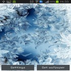 Además de los fondos de pantalla animados para Android Invierno: Camachuelo, descarga la apk gratis de los salvapantallas Cristal congelado .