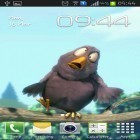 Además de los fondos de pantalla animados para Android Colonia espacial, descarga la apk gratis de los salvapantallas Pájaro divertido.