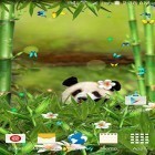 Además de los fondos de pantalla animados para Android Galaxia: Parallax, descarga la apk gratis de los salvapantallas Panda cómica .