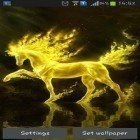 Además de los fondos de pantalla animados para Android Tigre, descarga la apk gratis de los salvapantallas Caballo de oro .