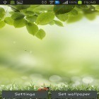 Además de los fondos de pantalla animados para Android Salida del sol, descarga la apk gratis de los salvapantallas Primavera verde.