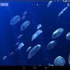 Además de los fondos de pantalla animados para Android , descarga la apk gratis de los salvapantallas Medusas 3D.