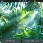Además de los fondos de pantalla animados para Android Isla perdida HD, descarga la apk gratis de los salvapantallas Selva .