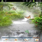 Además de los fondos de pantalla animados para Android  Globo de aire caliente 3D, descarga la apk gratis de los salvapantallas Selvas .