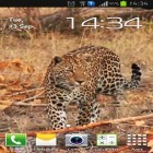 Además de los fondos de pantalla animados para Android Amor y flores , descarga la apk gratis de los salvapantallas Leopardo .