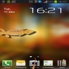 Descarga Lagarto en el teléfono para Android, así como otros fondos gratis de pantalla en movimiento para Fly ERA Nano 3 IQ436.