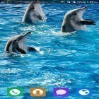 Además de los fondos de pantalla animados para Android Paisaje de invierno , descarga la apk gratis de los salvapantallas Delfín maravilloso  .