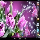 Además de los fondos de pantalla animados para Android Camino nocturno HD, descarga la apk gratis de los salvapantallas Mariposas maravillosas.