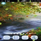 Además de los fondos de pantalla animados para Android Gota de agua: Flores y hojas, descarga la apk gratis de los salvapantallas Naturaleza mágica .