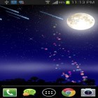 Además de los fondos de pantalla animados para Android Amor y flores , descarga la apk gratis de los salvapantallas Meteoritos .