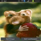 Además de los fondos de pantalla animados para Android Bayas silvestres, descarga la apk gratis de los salvapantallas Ratón con fresas.