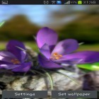Además de los fondos de pantalla animados para Android Nieve real , descarga la apk gratis de los salvapantallas Fauna: Flores 3D de primavera .