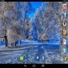 Además de los fondos de pantalla animados para Android Invierno hermoso, descarga la apk gratis de los salvapantallas Invierno lindo .