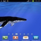 Descarga Océano: Ballena para Android, así como otros fondos gratis de pantalla en movimiento para Nokia 5.3.