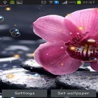 Además de los fondos de pantalla animados para Android Chimenea romántica , descarga la apk gratis de los salvapantallas Orquídea HD.