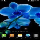 Descarga Orquídeas para Android, así como otros fondos gratis de pantalla en movimiento para Sony Ericsson W595.
