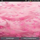 Además de los fondos de pantalla animados para Android Snowboarding, descarga la apk gratis de los salvapantallas Pluma rosa .