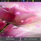 Descarga Rosas rosadas  para Android, así como otros fondos gratis de pantalla en movimiento para Asus Fonepad 7.