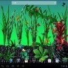 Además de los fondos de pantalla animados para Android Asus: Escena del día , descarga la apk gratis de los salvapantallas Acuario de plastilina.