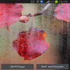 Además de los fondos de pantalla animados para Android Follaje fresco , descarga la apk gratis de los salvapantallas Otoño lluvioso.
