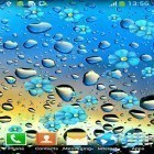 Además de los fondos de pantalla animados para Android Flores azules , descarga la apk gratis de los salvapantallas Día lluvioso.