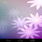 Además de los fondos de pantalla animados para Android Nexus. Triángulos , descarga la apk gratis de los salvapantallas Samsung: Carnaval.
