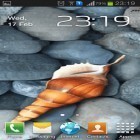 Descarga Concha marina para Android, así como otros fondos gratis de pantalla en movimiento para Lenovo TAB 2 A7 30DC.