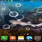 Descarga Tiburón  para Android, así como otros fondos gratis de pantalla en movimiento para Samsung Galaxy S Plus.