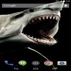 Además de los fondos de pantalla animados para Android Tigre de la nieve, descarga la apk gratis de los salvapantallas Tiburón 3D.